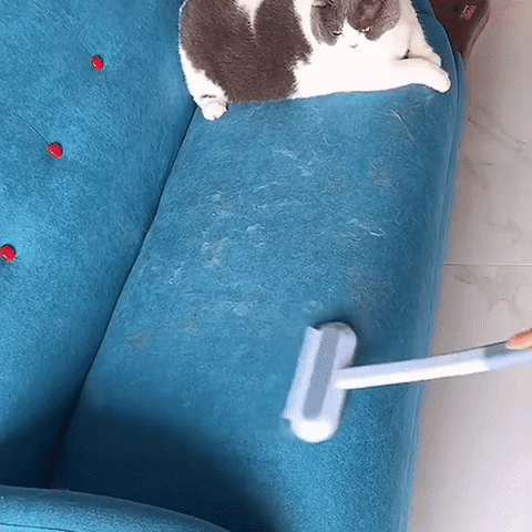 3-in-1 Huisdierhaar Verwijderaar - PetClean Pro