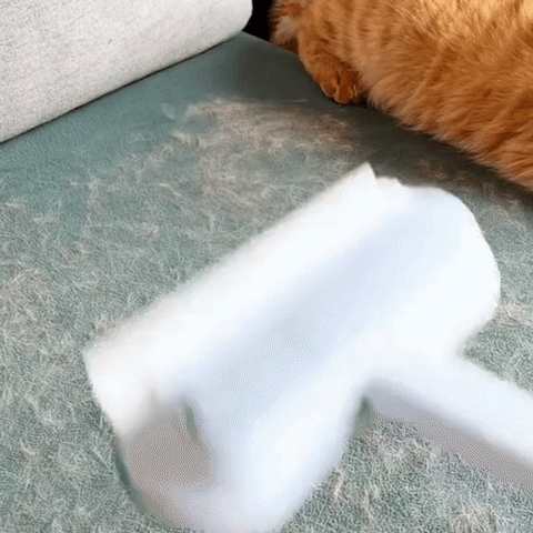 3-in-1 Huisdierhaar Verwijderaar - PetClean Pro