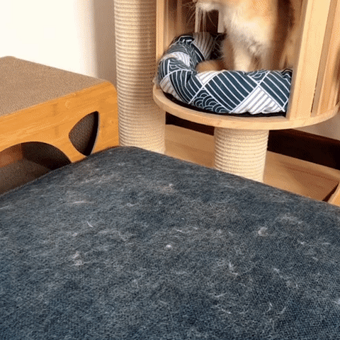 3-in-1 Huisdierhaar Verwijderaar - PetClean Pro