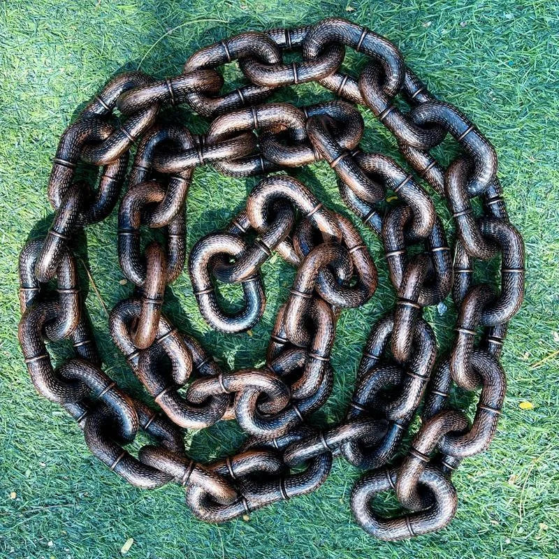 Stoere en Grappige Hondenriem - PawChic