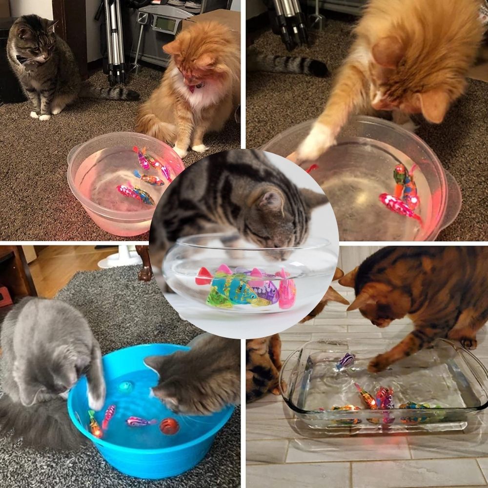 Speelset voor Katten - AquaPurr