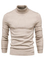 Trendiger Herrenrollkragenpullover - Lars