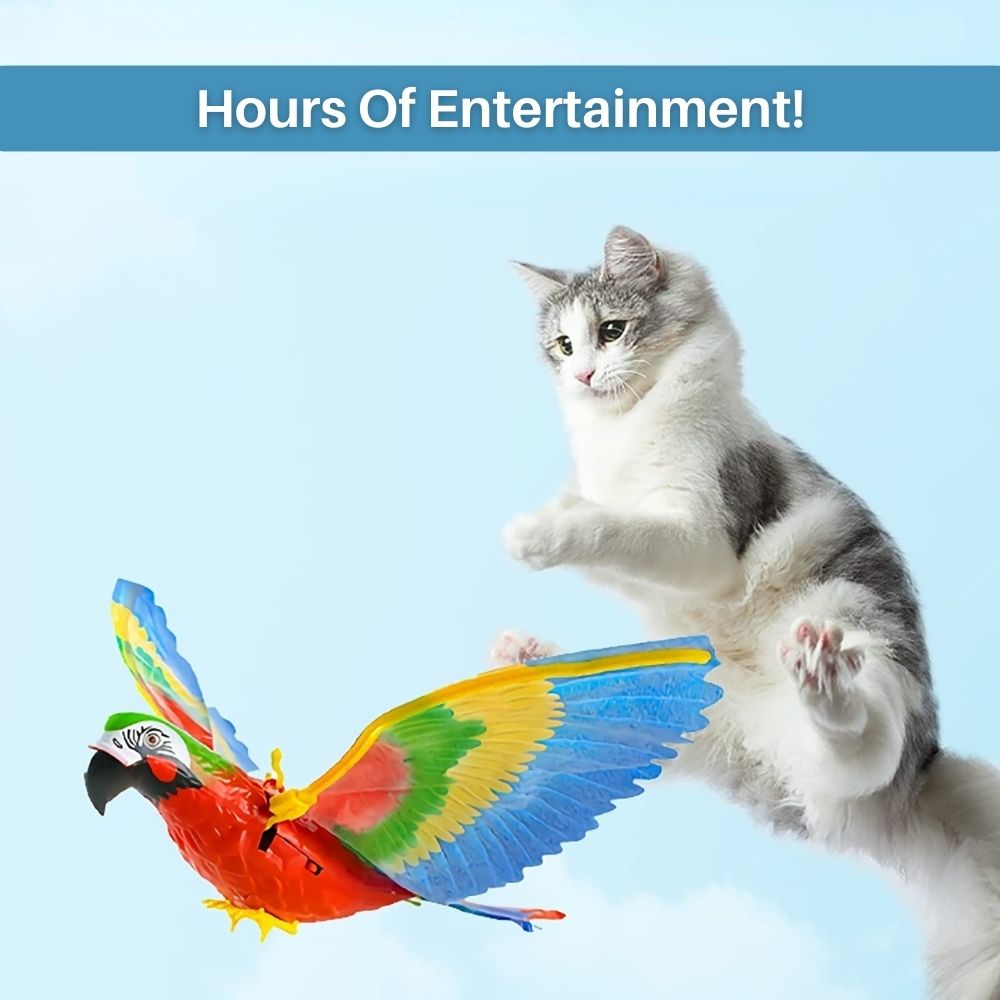 Interactief Kattenspeelgoed voor Plezier en Beweging - FeatherFlight™
