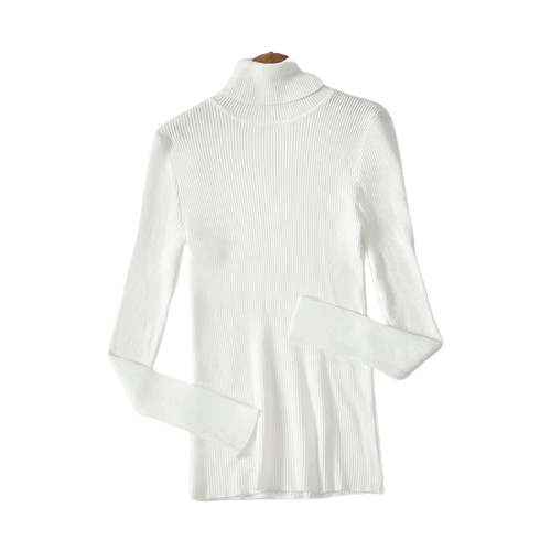 Stijlvolle Sweater voor dames
