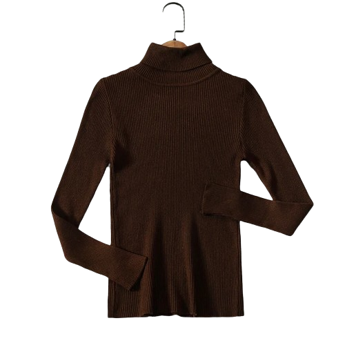 Stijlvolle Sweater voor dames