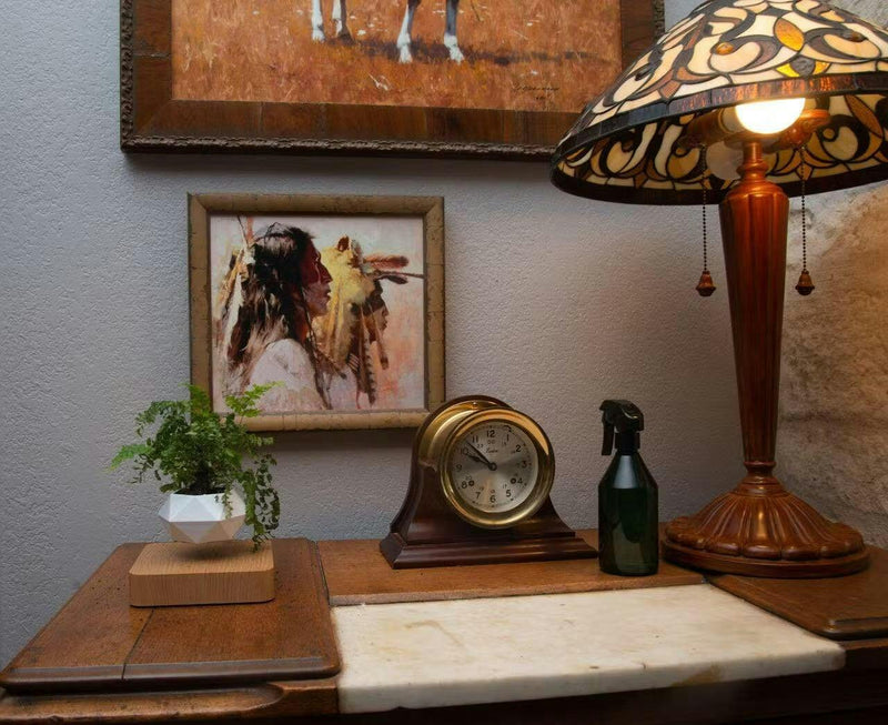 Schwebender Pflanzenhalter mit Magnetischer Levitation - Liva