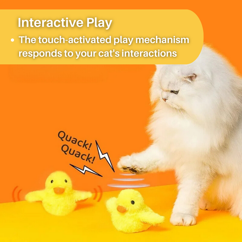 Flappende Eend Speelgoed voor Katten - DuckDash™ (1+1 GRATIS)