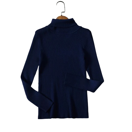 Stijlvolle Sweater voor dames
