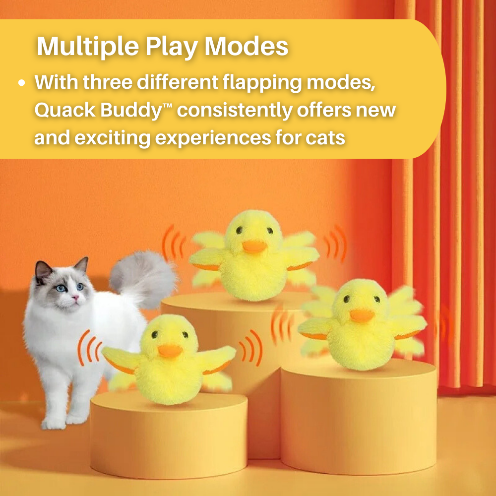 Flappende Eend Speelgoed voor Katten - DuckDash™ (1+1 GRATIS)