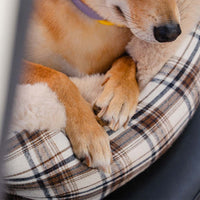Pluche Autostoel voor Huisdieren – RideSafe CozySeat
