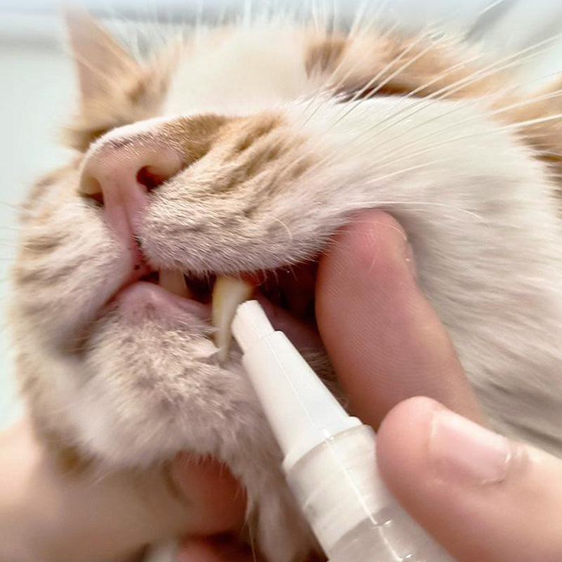 Haustier-Zahnbürstenstift - PetSmile