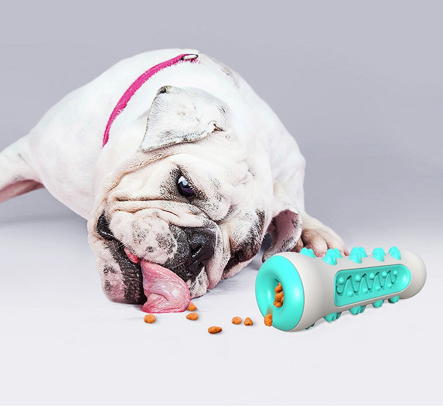 Zahnreinigendes Kau-Spielzeug für Hunde – Chewly