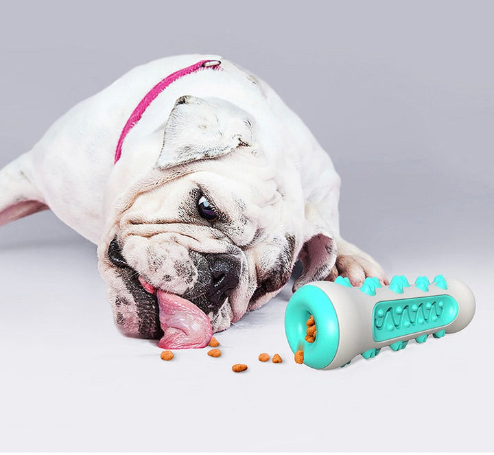 Zahnreinigendes Kau-Spielzeug für Hunde – Chewly