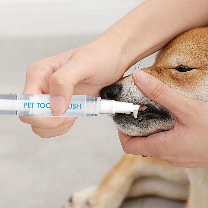 Haustier-Zahnbürstenstift - PetSmile