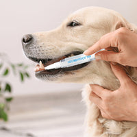Haustier-Zahnbürstenstift - PetSmile