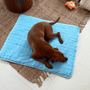 Innovative Kühlmatte für Hunde (4x Kühlleistung) - ChillComfort