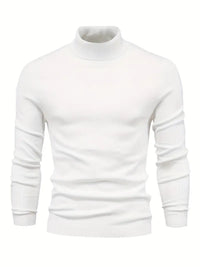 Trendiger Herrenrollkragenpullover - Lars