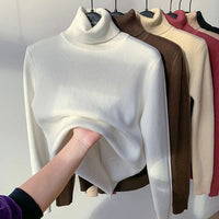 Eloise Samtgefütterter Rollkragenpullover | Stilvoll & warm