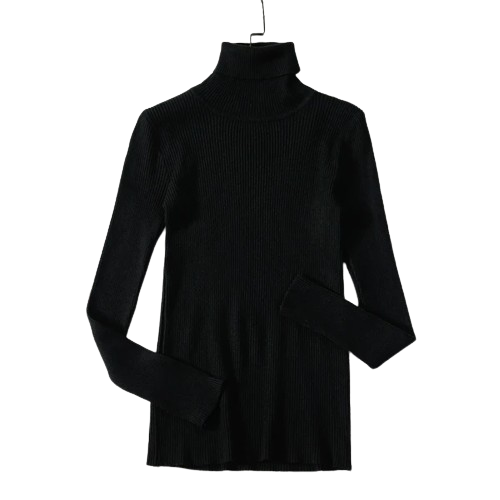 Stijlvolle Sweater voor dames