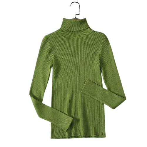 Stijlvolle Sweater voor dames