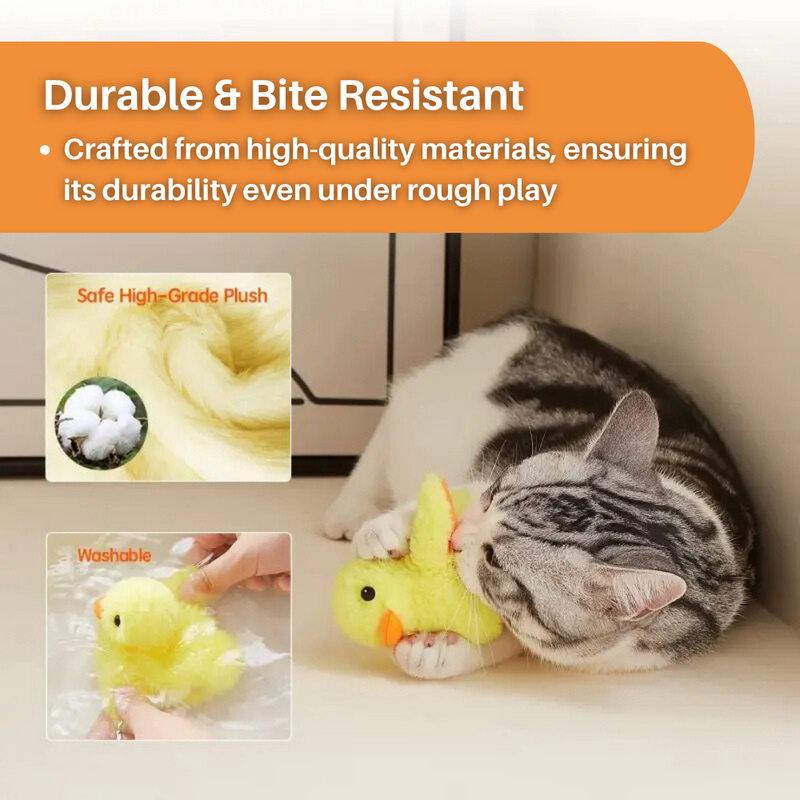 Flappende Eend Speelgoed voor Katten - DuckDash™ (1+1 GRATIS)