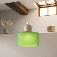 Ring Pendant Light with Extended Halo Design 29