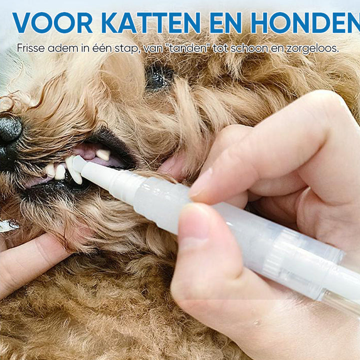 Haustier-Zahnbürstenstift - PetSmile