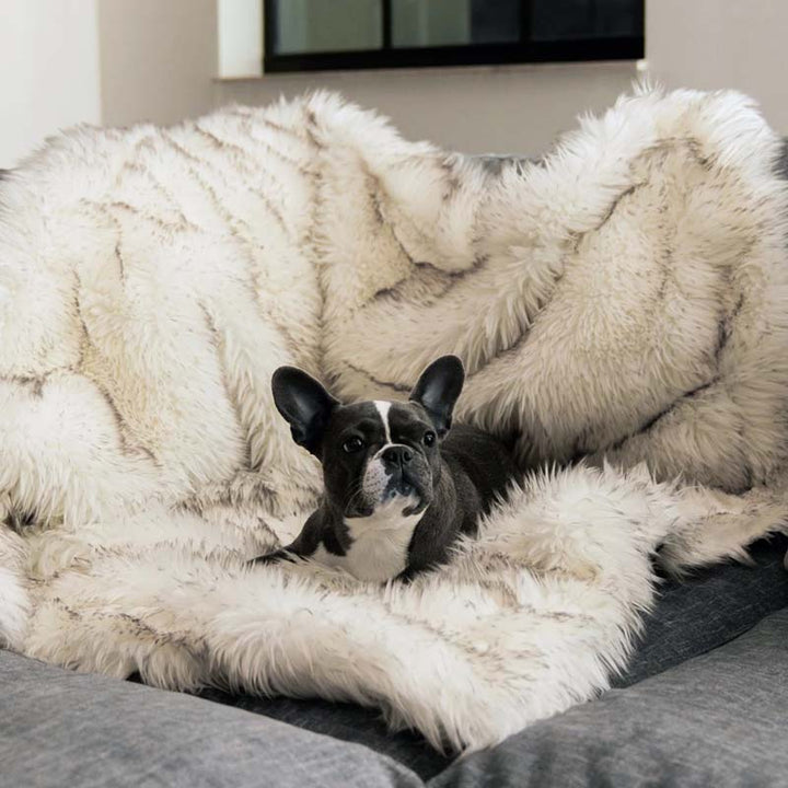 Luxe Waterdichte Huisdierendeken - CozyPaw™