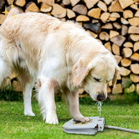 Interaktiver Hundebrunnen-Spielzeug - PawSplash