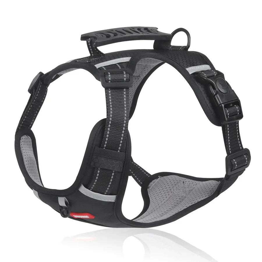 Robustes & bequemes Hundegeschirr - ActivePup™