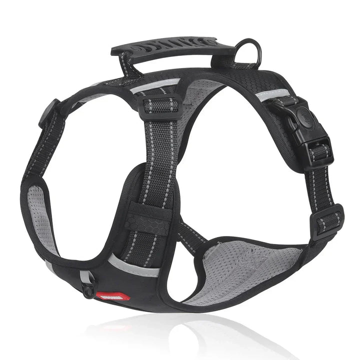 Robustes & bequemes Hundegeschirr - ActivePup™