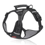 Robustes & bequemes Hundegeschirr - ActivePup™