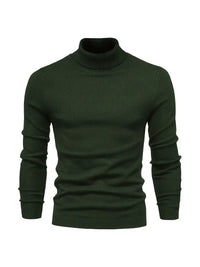 Trendiger Herrenrollkragenpullover - Lars