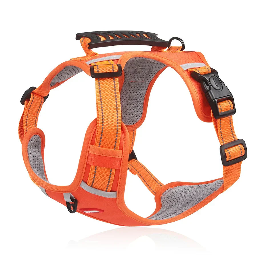 Robustes & bequemes Hundegeschirr - ActivePup™