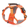Robustes & bequemes Hundegeschirr - ActivePup™