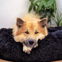 Hundebett Fluffy Plus - Das Original
