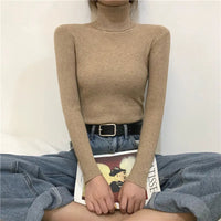 Sara Rollkragenpullover | Weich & trendy