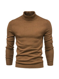 Trendiger Herrenrollkragenpullover - Lars