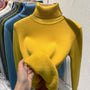 Eloise Samtgefütterter Rollkragenpullover | Stilvoll & warm