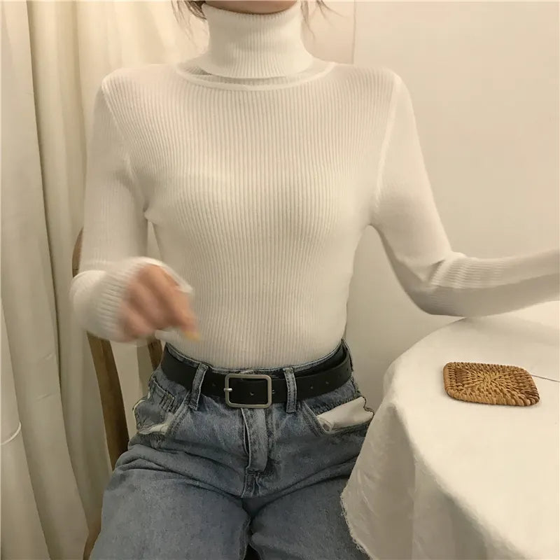 Sara Rollkragenpullover | Weich & trendy