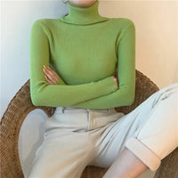 Sara Rollkragenpullover | Weich & trendy