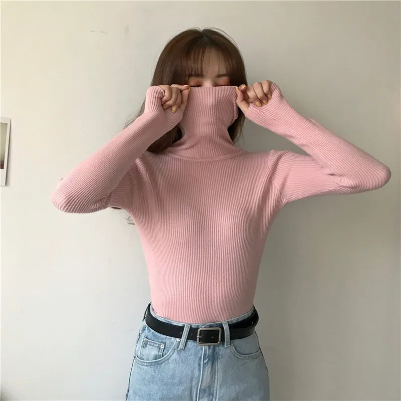 Sara Rollkragenpullover | Weich & trendy
