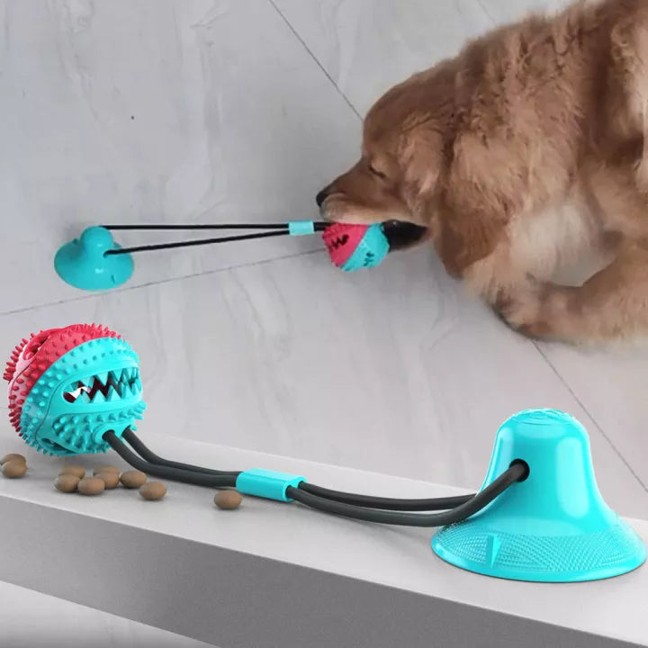 Stevig Hondentrektouw - PlayPaw