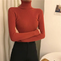 Sara Rollkragenpullover | Weich & trendy