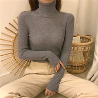 Sara Rollkragenpullover | Weich & trendy
