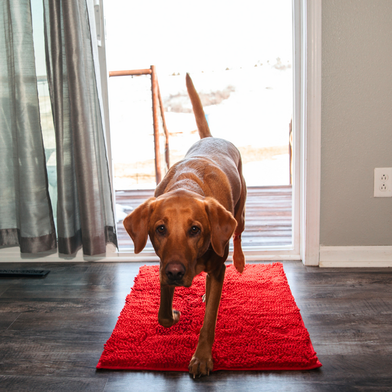 Honden Schoonloopmat - Boris