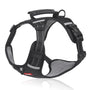 Anti-Zieh-Hundegeschirr - FlexiFit