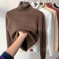 Eloise Samtgefütterter Rollkragenpullover | Stilvoll & warm