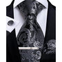 Men's Paisley Formal Tie Set - Refined Wedding & Event Accessories 2
