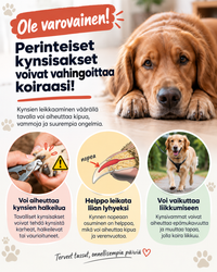 Infographic over de risico's van gewone nageltangen voor honden, met een tang, een tekening van de nagel en een wandelende 4